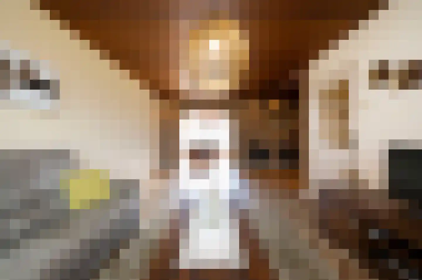 Ganzerikstraat 16 Waalwijk thumbnail 5