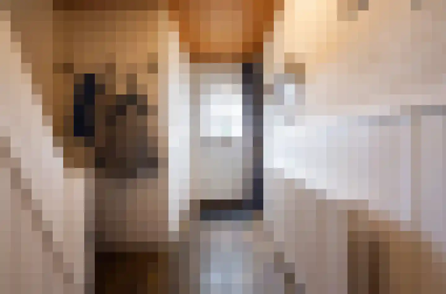 Ganzerikstraat 16 Waalwijk thumbnail 7