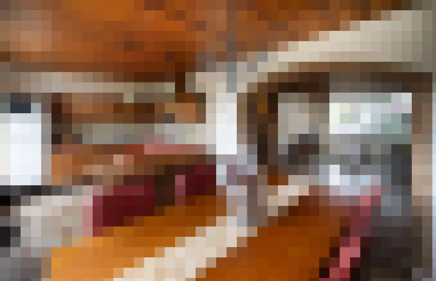 Ganzerikstraat 16 Waalwijk thumbnail 9