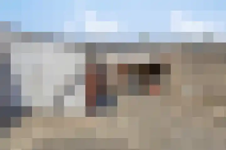 Ganzerikstraat 25 Waalwijk thumbnail 27