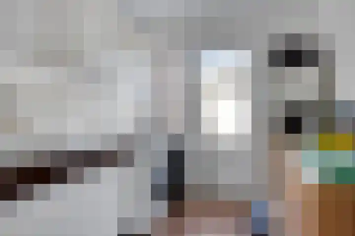 Ganzerikstraat 25 Waalwijk thumbnail 6