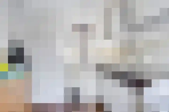 Ganzerikstraat 25 Waalwijk thumbnail 7