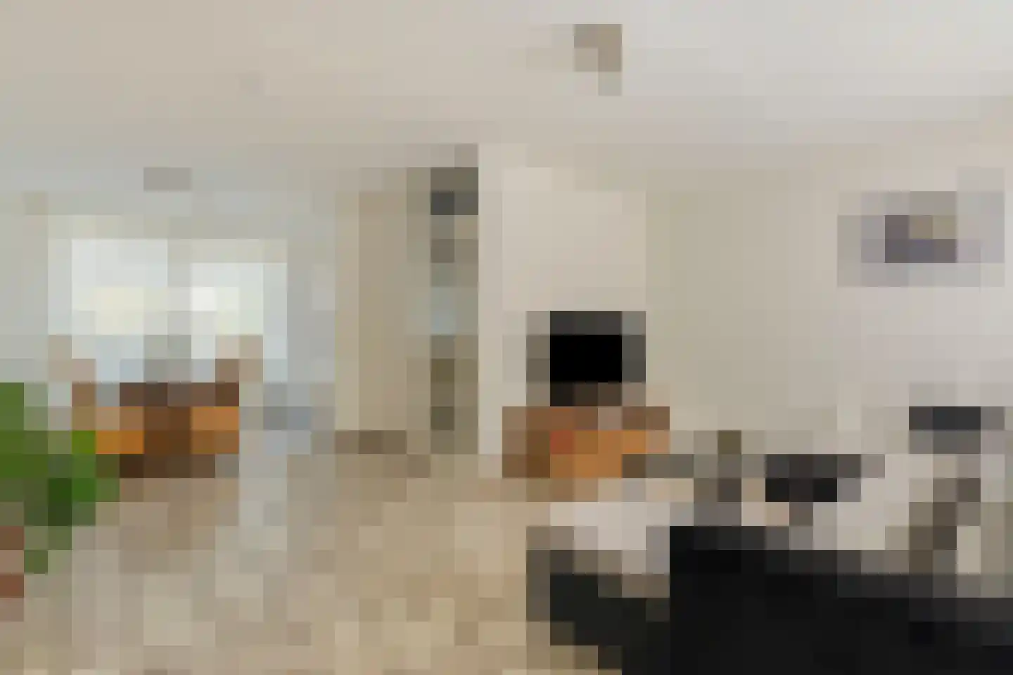 Ganzerikstraat 30 Venlo thumbnail 6