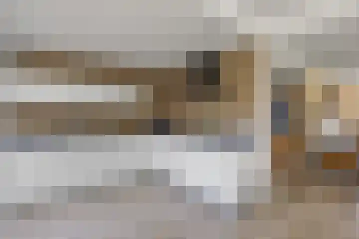 Ganzerikstraat 30 Waalwijk thumbnail 13