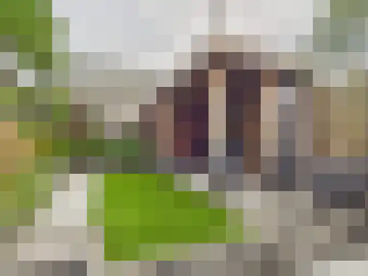 Ganzerikstraat 46 Bergen op Zoom thumbnail 5
