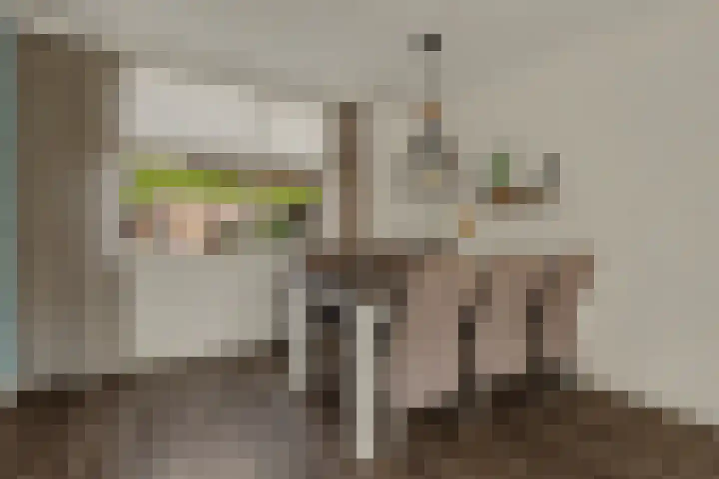Ganzerikstraat 7 's-Gravenpolder thumbnail 14