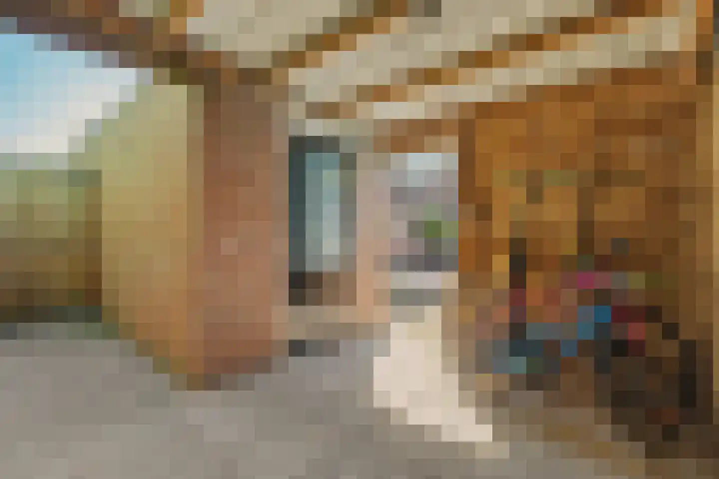 Ganzerikstraat 7 's-Gravenpolder thumbnail 41