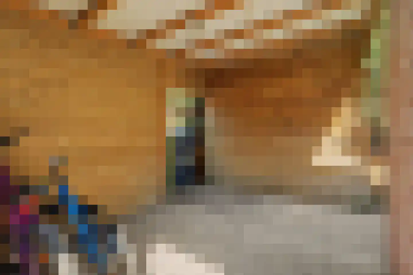 Ganzerikstraat 7 's-Gravenpolder thumbnail 42