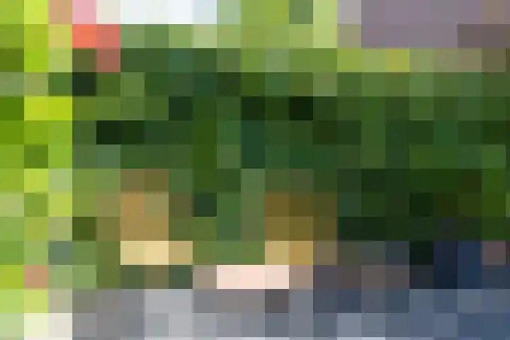 Ganzerikveld 12 Woerden thumbnail 24
