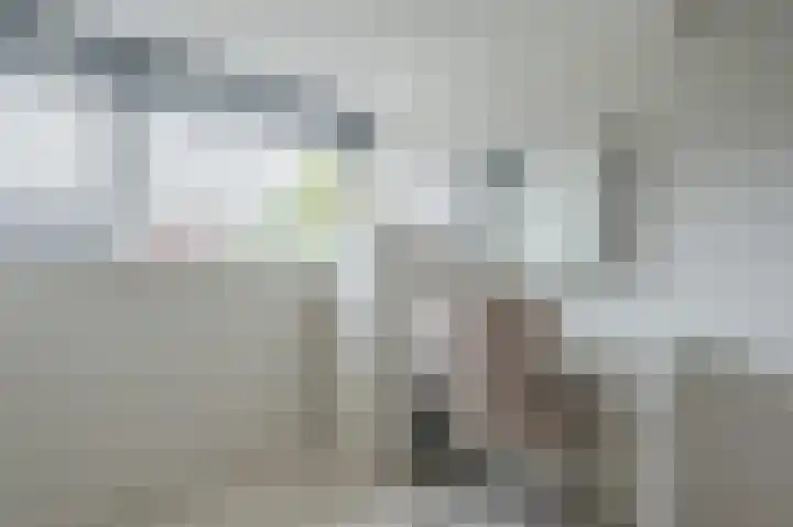Ganzerikveld 28 Woerden thumbnail 32