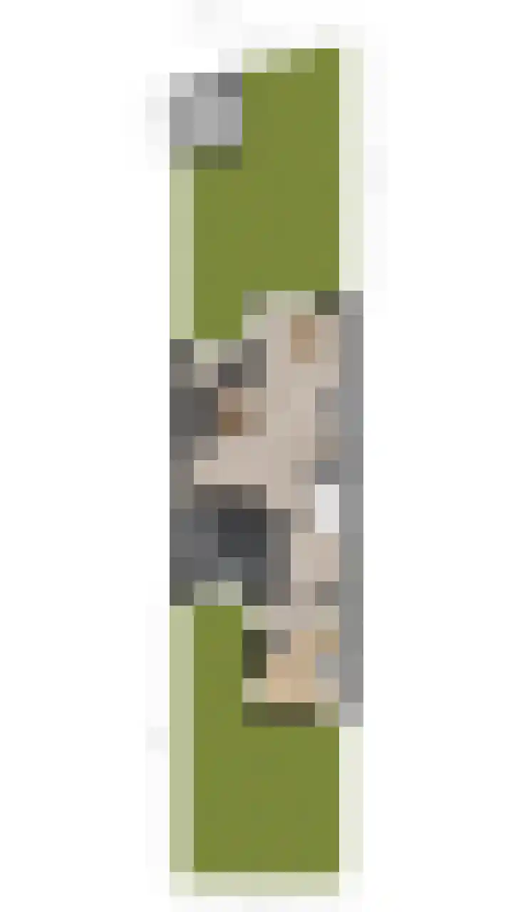 Ganzerikveld 28 Woerden thumbnail 42