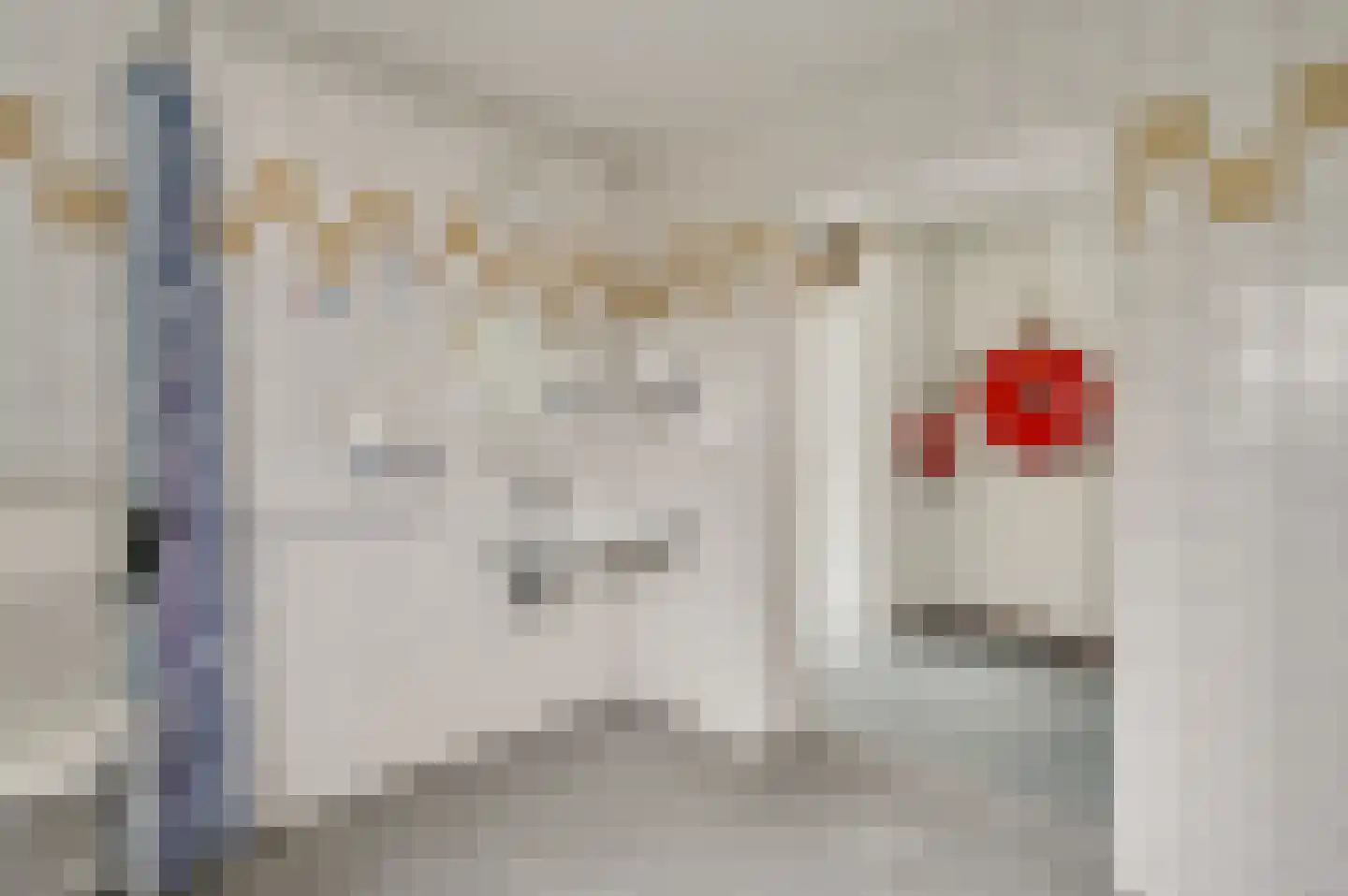 Ganzerikweerd 12 Maastricht thumbnail 11