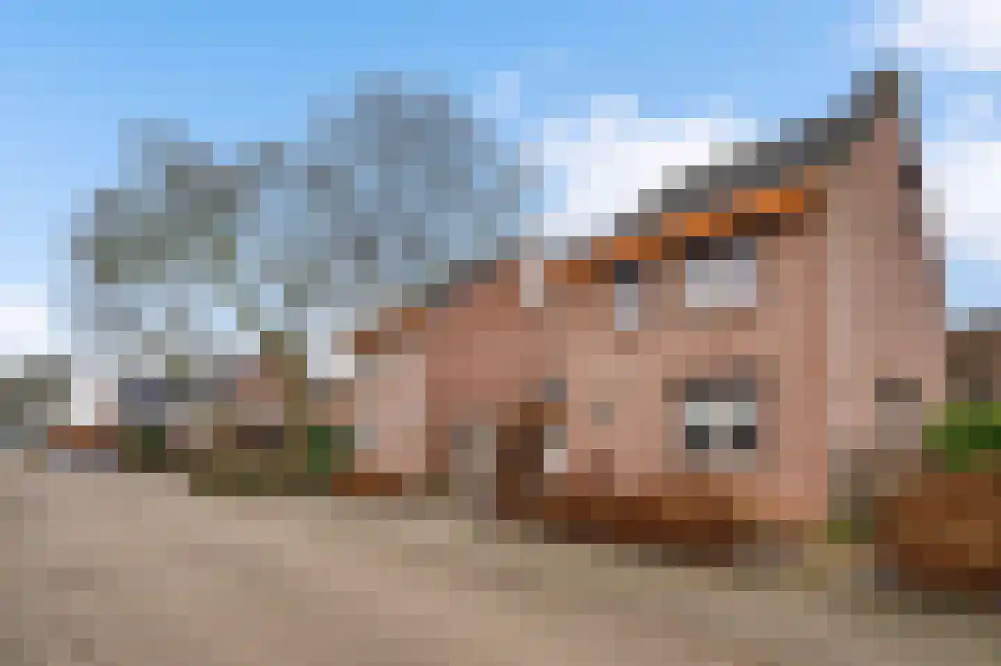 Ganzerikweerd 12 Maastricht thumbnail 18