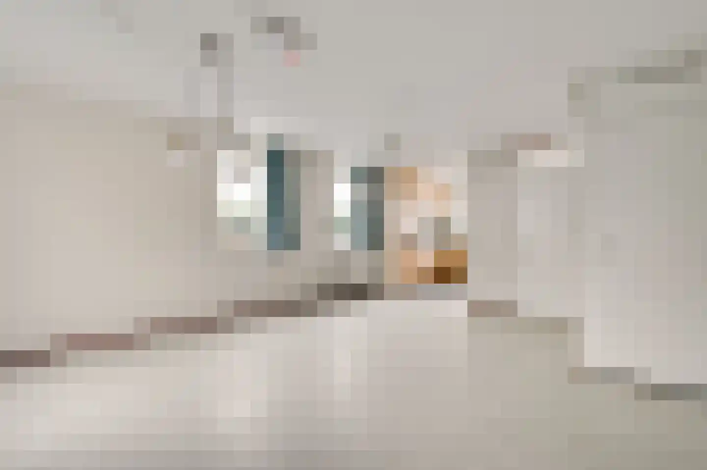 Ganzerikweerd 12 Maastricht thumbnail 6