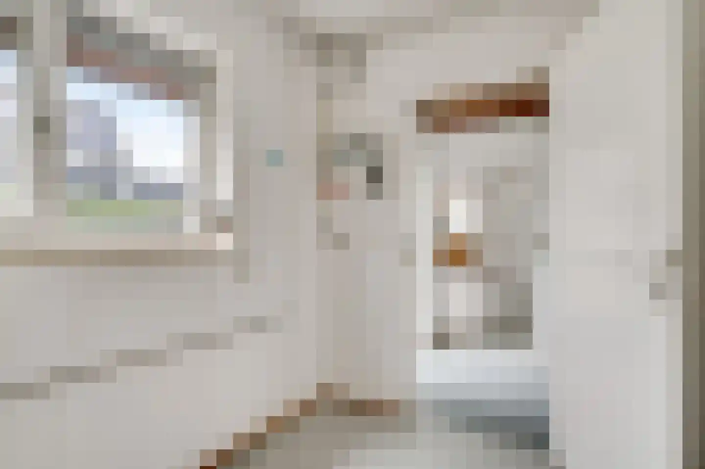Ganzerikweerd 12 Maastricht thumbnail 8