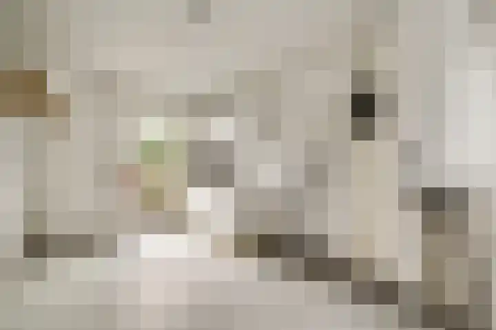 Ganzerikweerd 14 Maastricht thumbnail 10