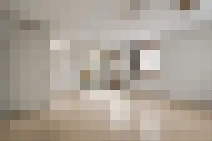 Ganzerikweerd 14 Maastricht thumbnail 5