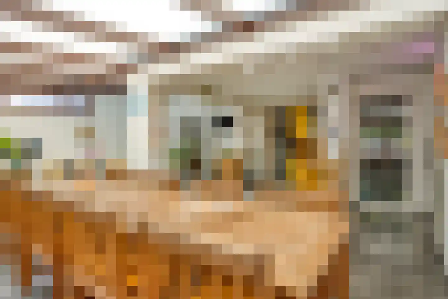 Ganzerikweerd 17 Maastricht thumbnail 22