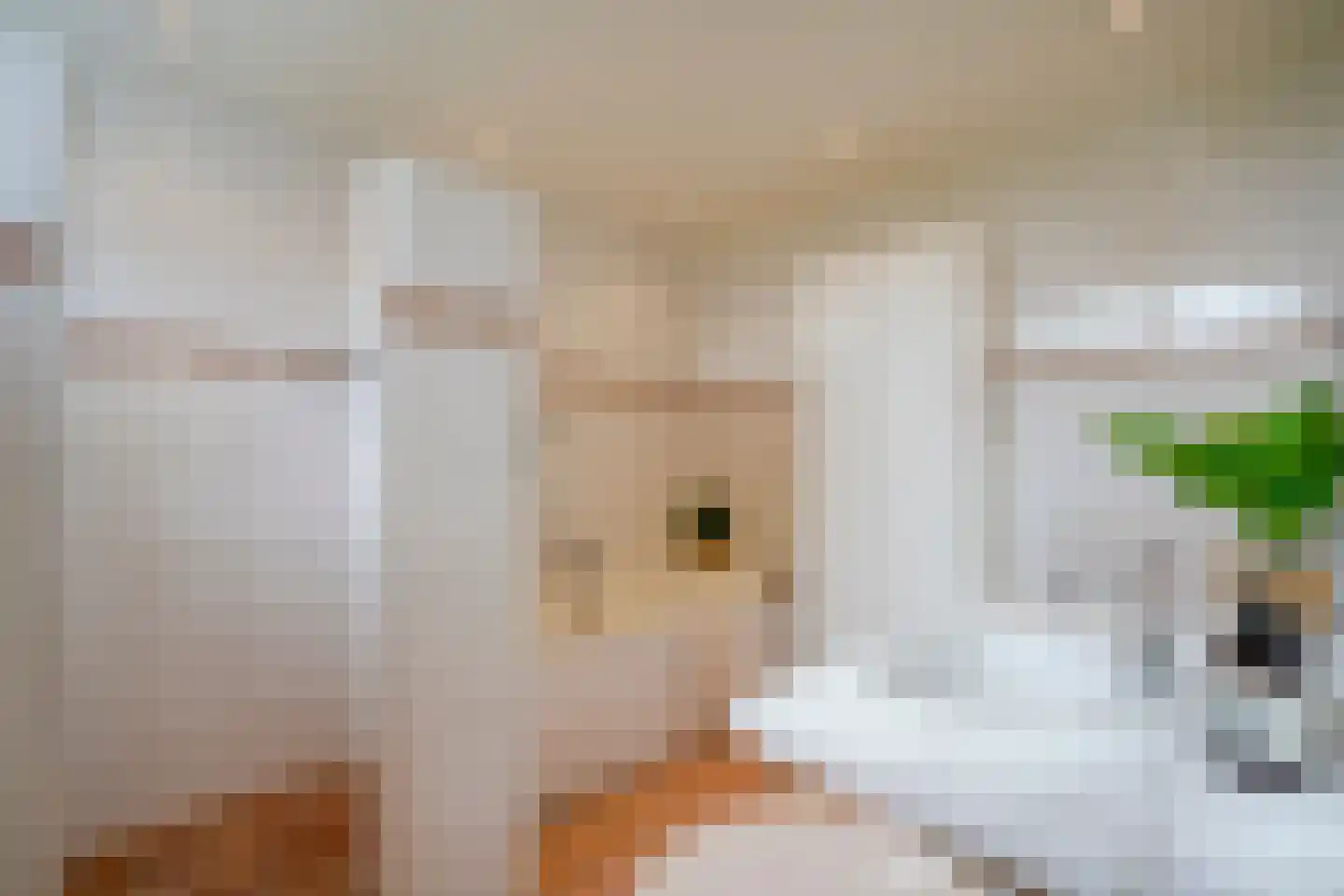 Ganzert 30 Eck en Wiel thumbnail 16