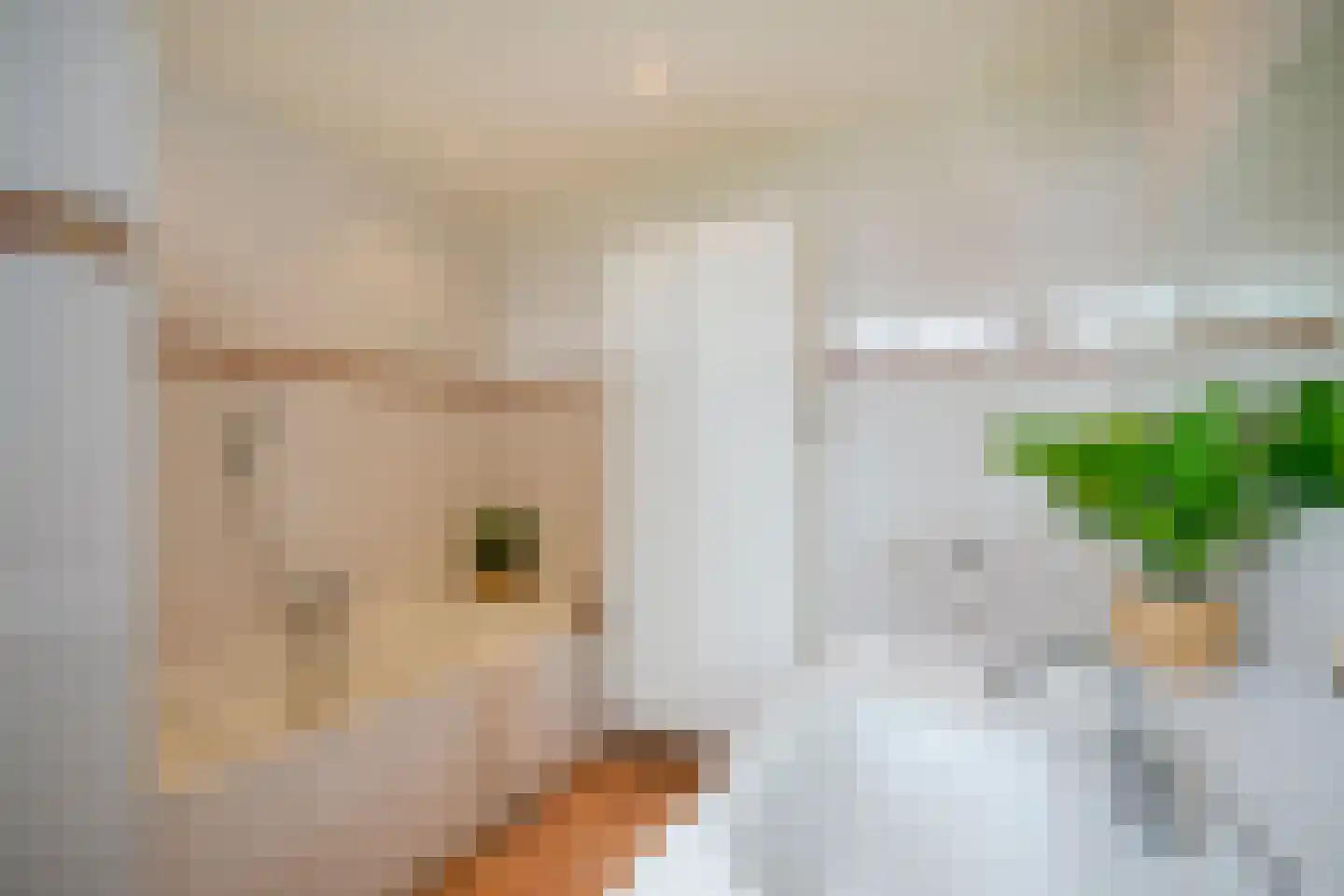 Ganzert 30 Eck en Wiel thumbnail 17