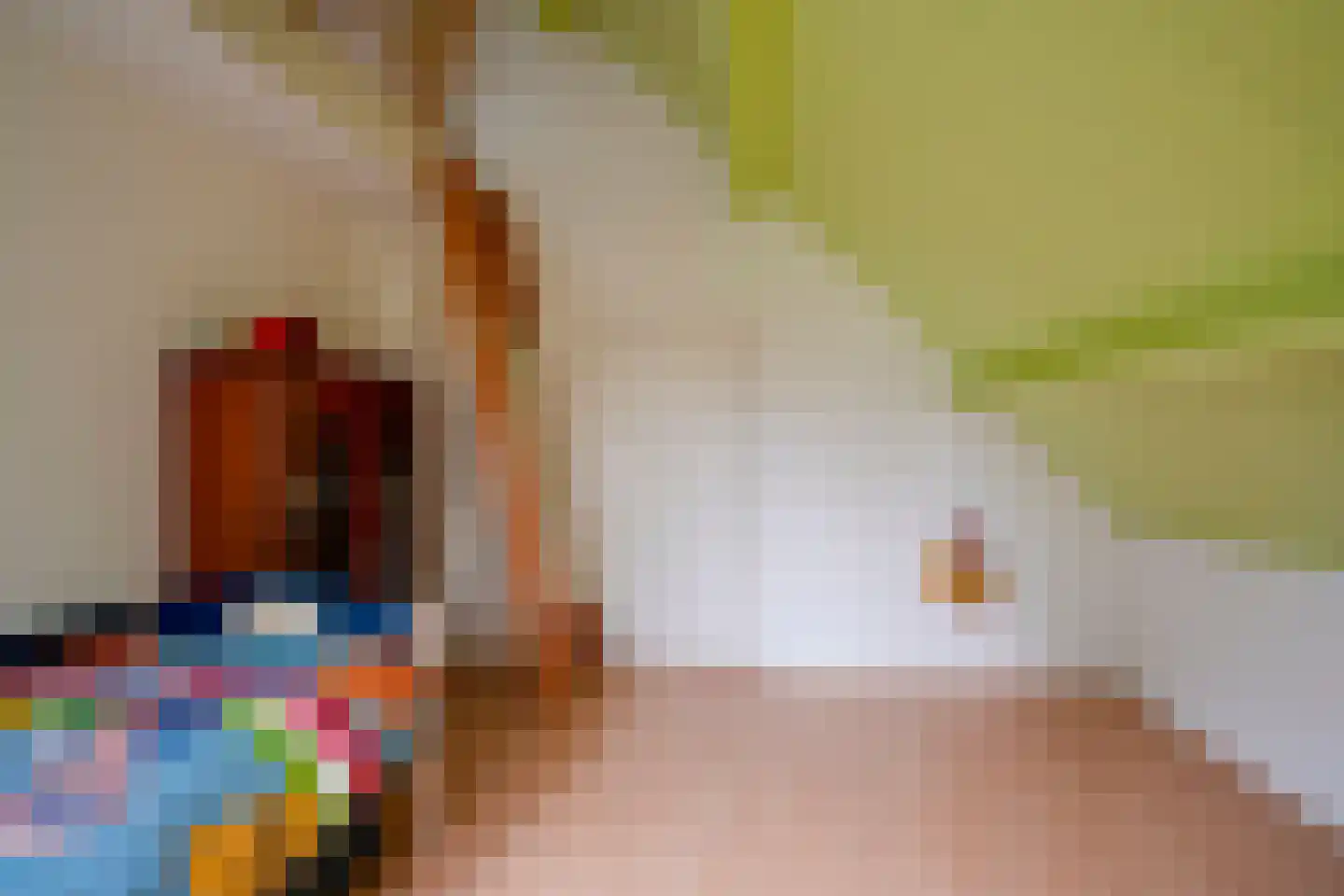 Ganzert 30 Eck en Wiel thumbnail 20