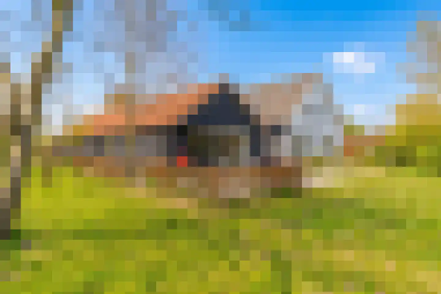 Ganzert 30 Eck en Wiel thumbnail 29