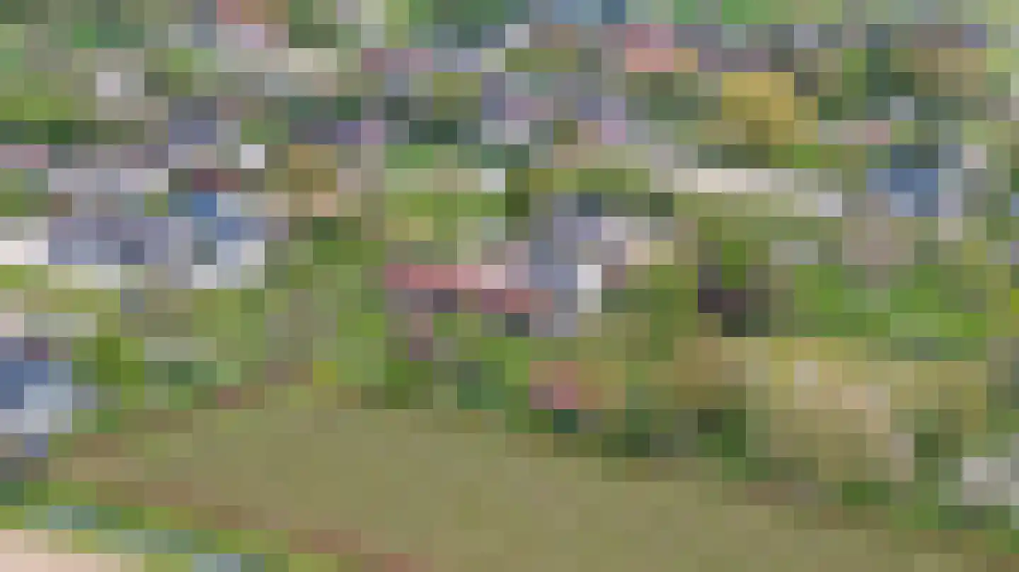 Ganzert 30 Eck en Wiel thumbnail 34