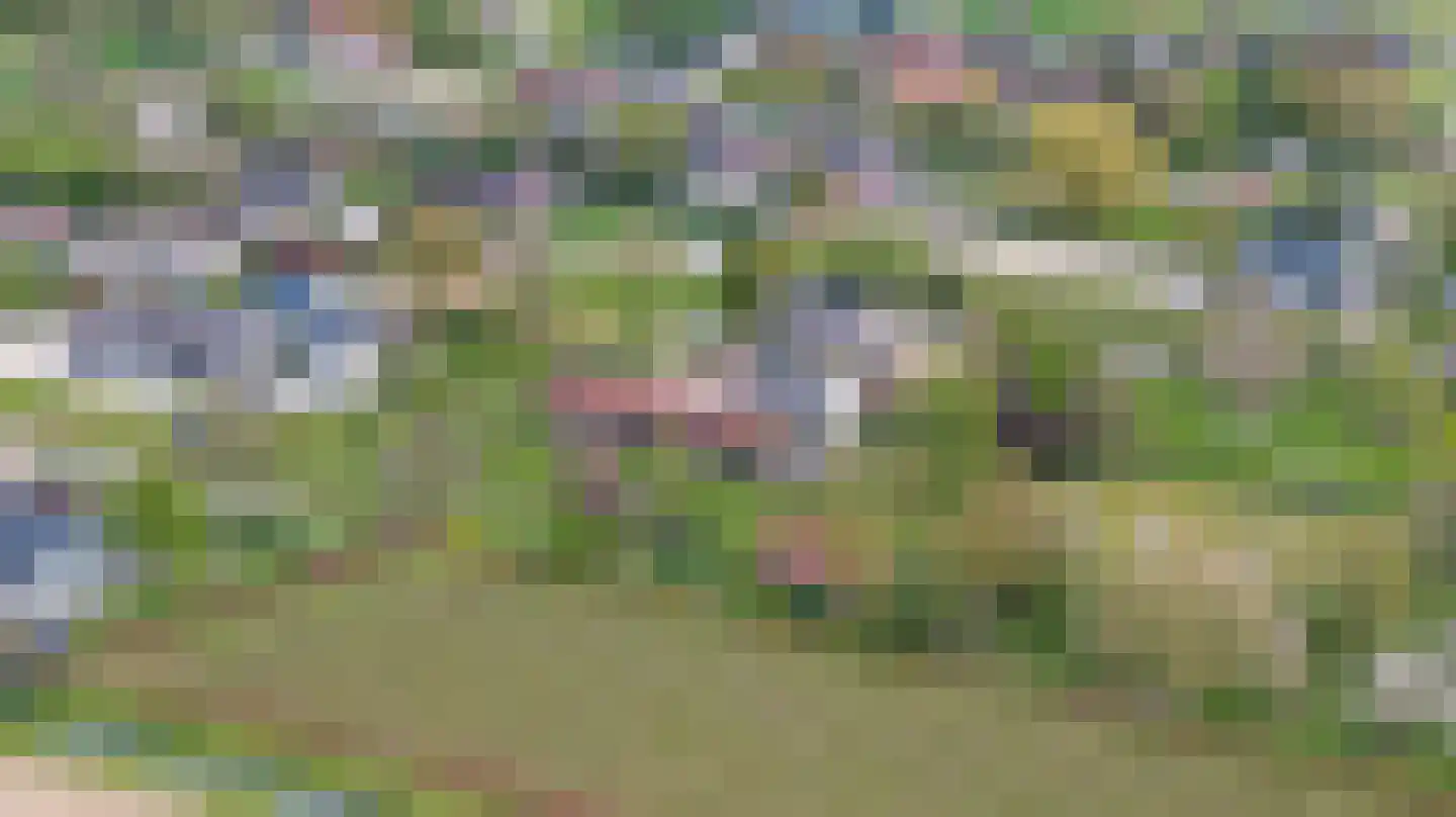 Ganzert 30 Eck en Wiel thumbnail 34