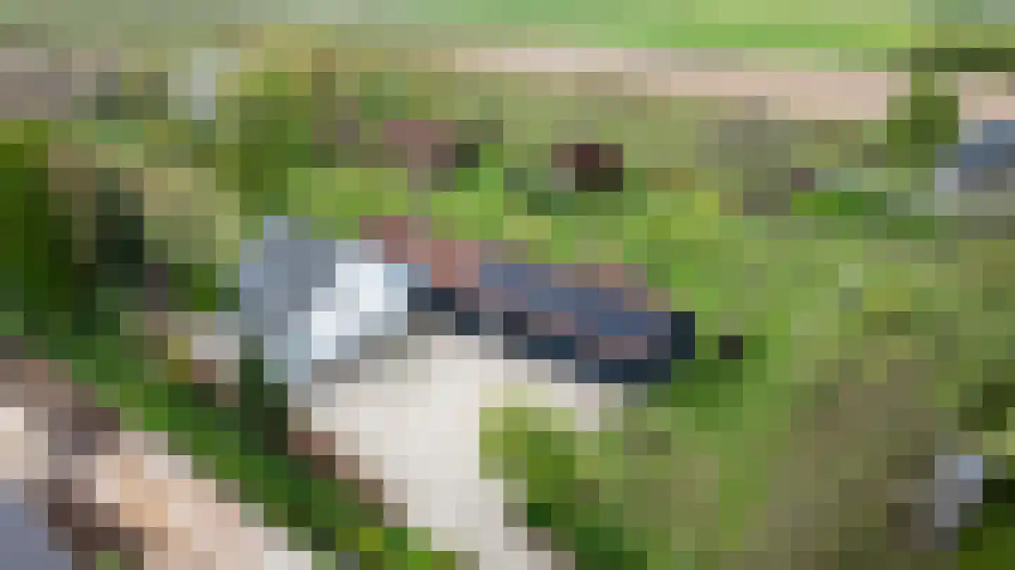 Ganzert 30 Eck en Wiel thumbnail 35