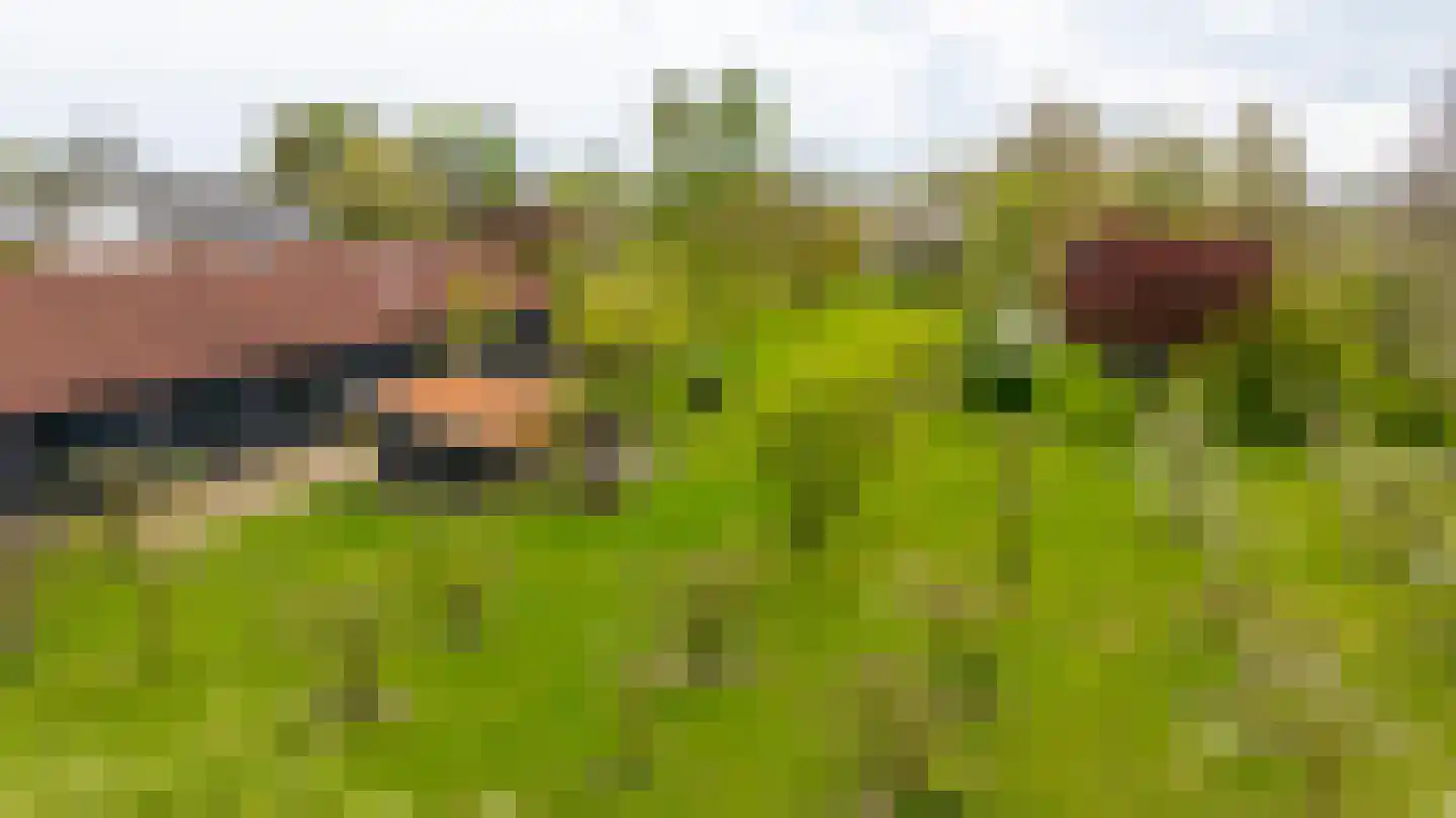 Ganzert 30 Eck en Wiel thumbnail 36