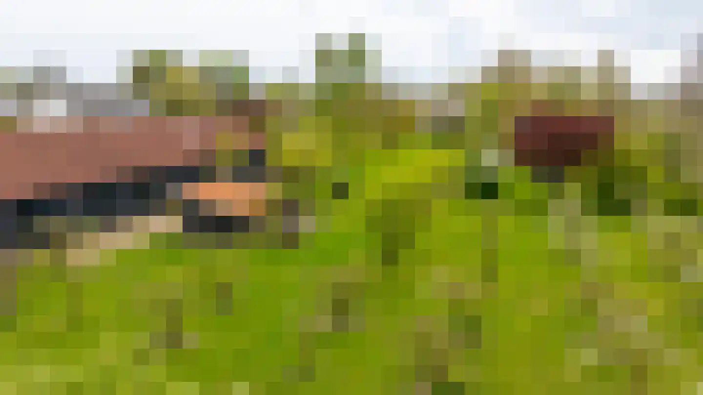 Ganzert 30 Eck en Wiel thumbnail 36