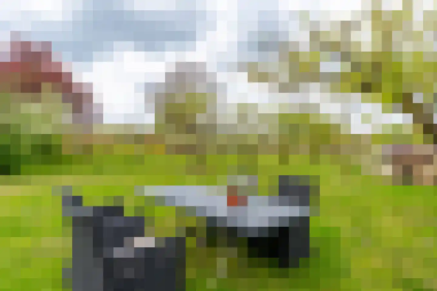 Ganzert 30 Eck en Wiel thumbnail 42
