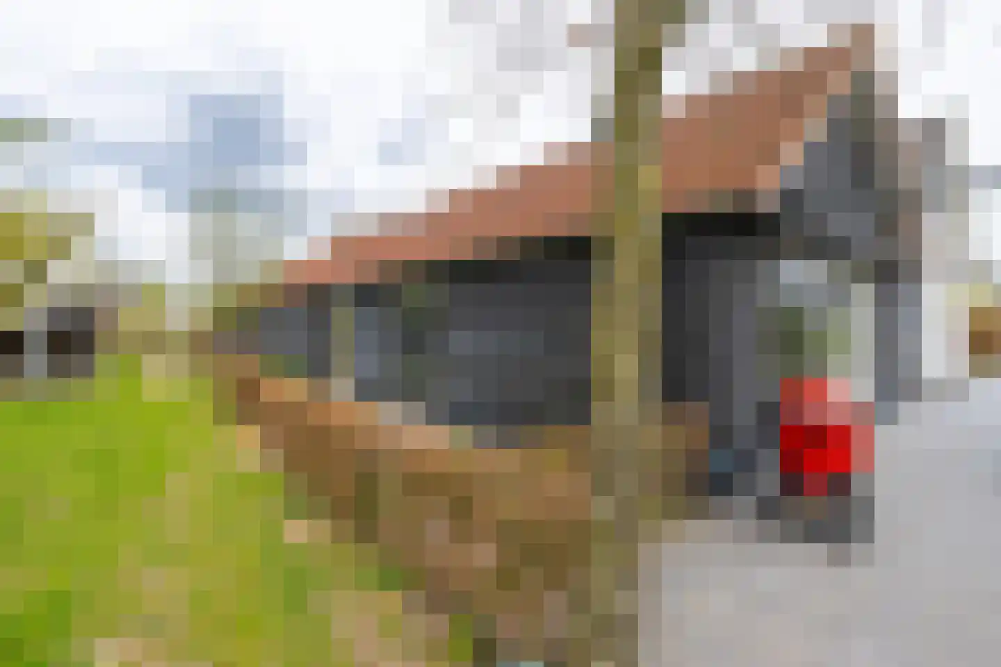 Ganzert 30 Eck en Wiel thumbnail 43