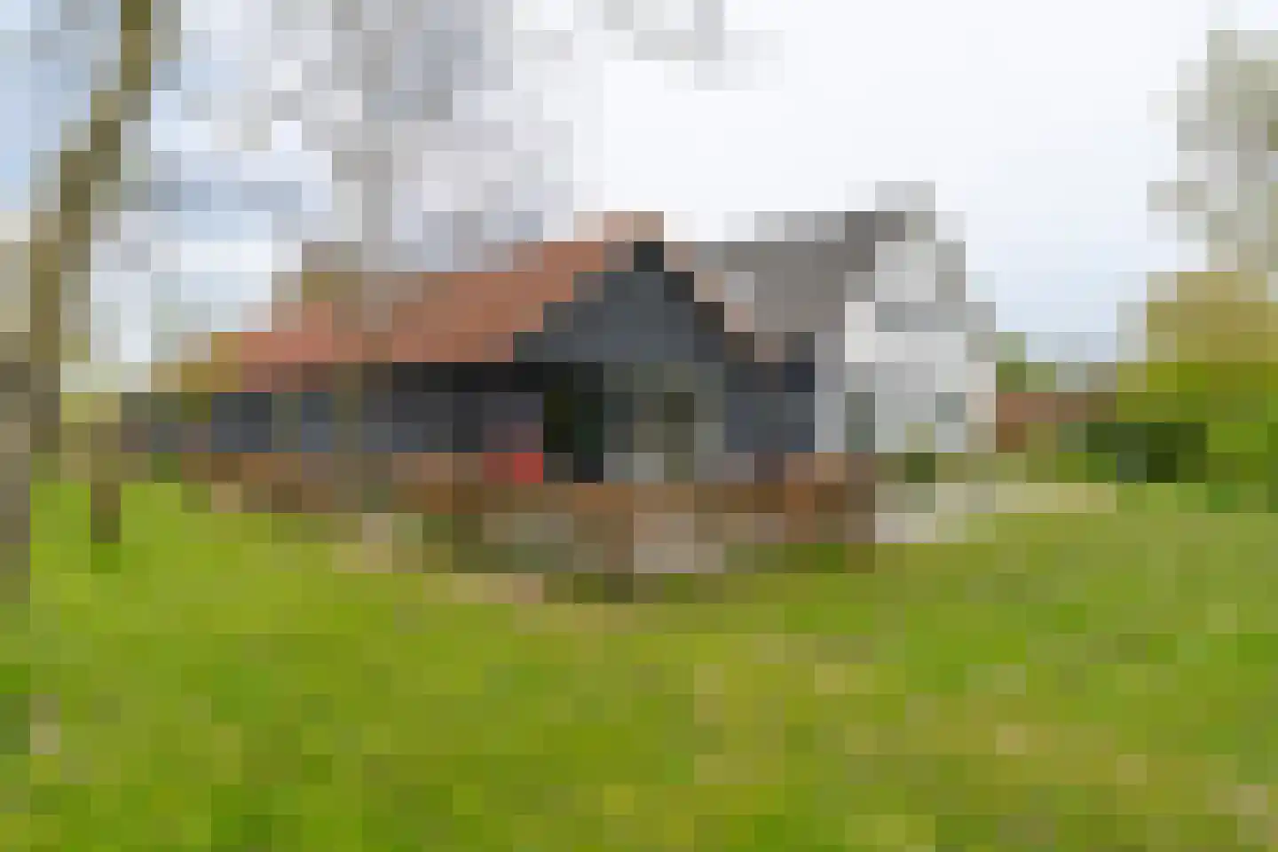 Ganzert 30 Eck en Wiel thumbnail 44