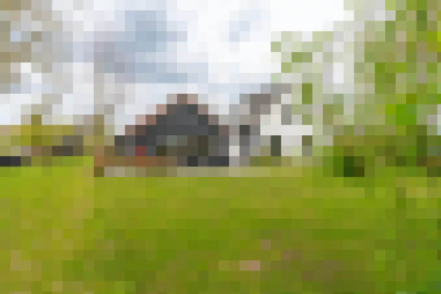 Ganzert 30 Eck en Wiel thumbnail 45