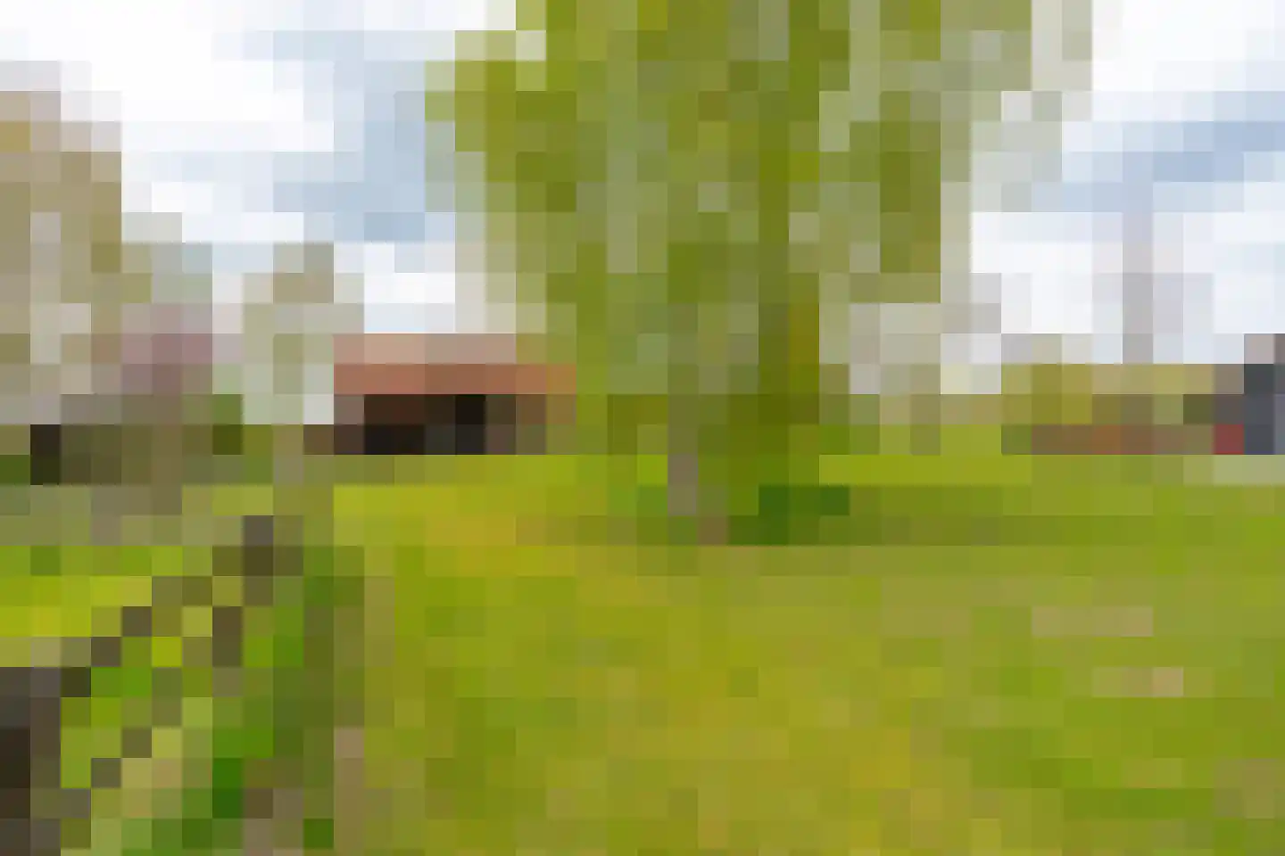 Ganzert 30 Eck en Wiel thumbnail 46
