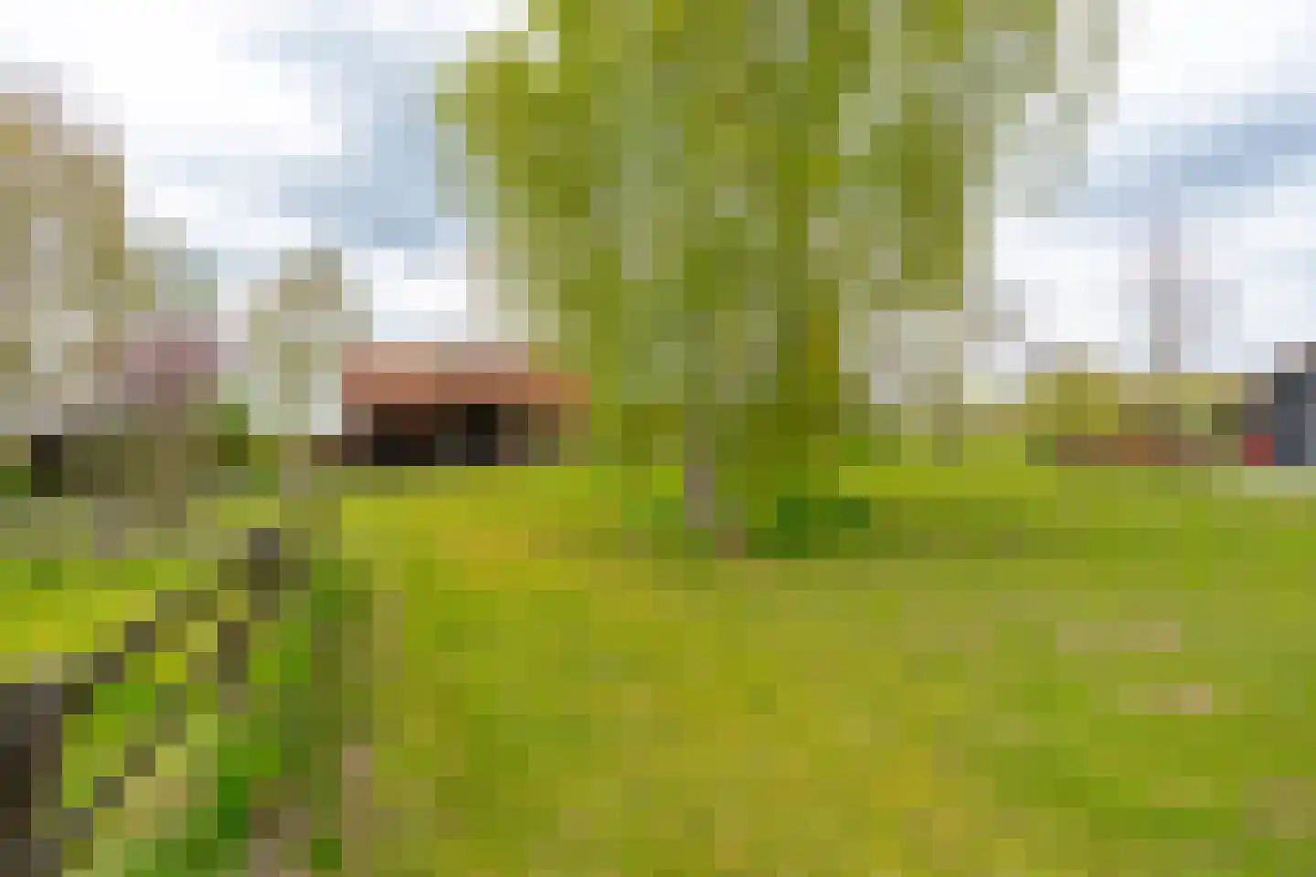 Ganzert 30 Eck en Wiel thumbnail 46