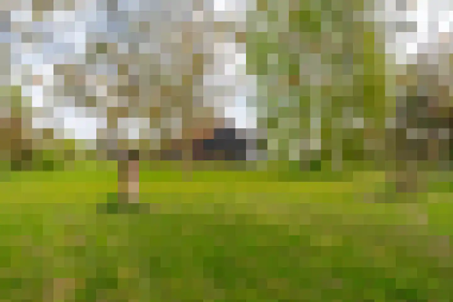 Ganzert 30 Eck en Wiel thumbnail 47