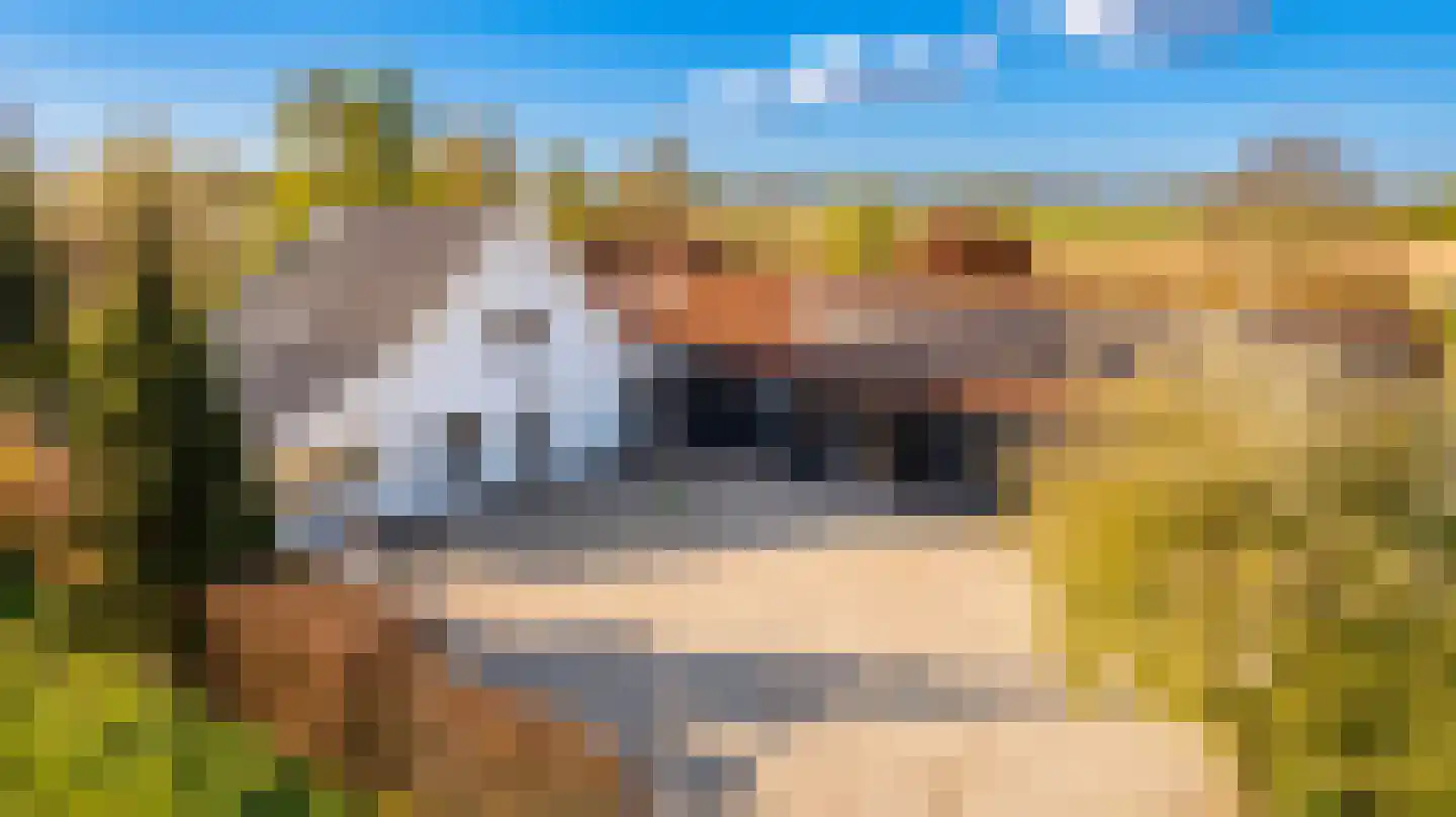 Ganzert 30 Eck en Wiel thumbnail 5