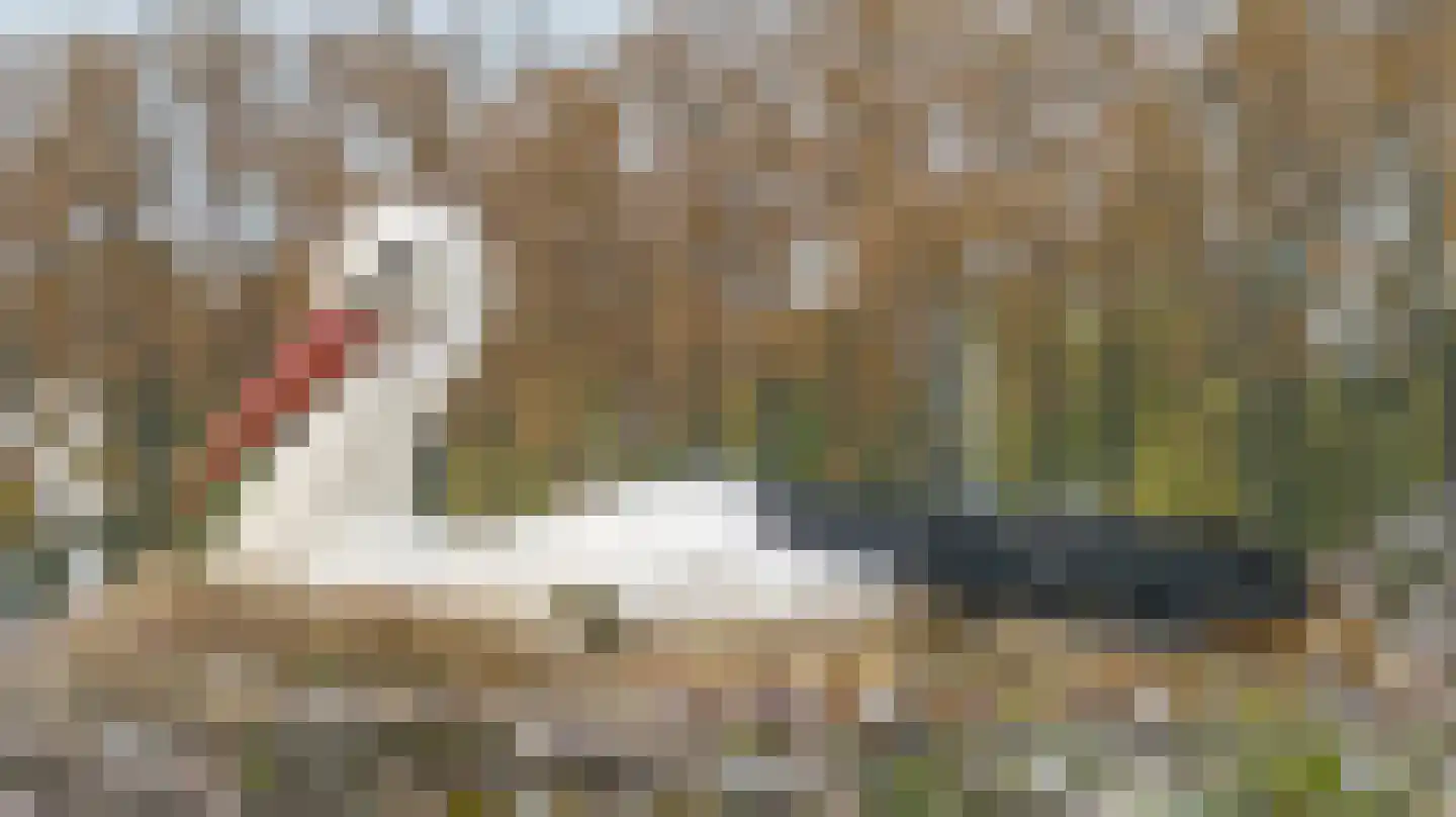 Ganzert 30 Eck en Wiel thumbnail 50