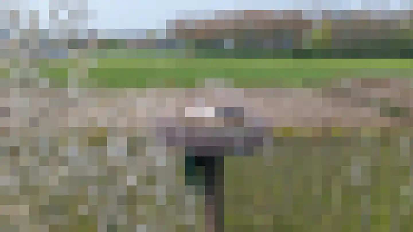 Ganzert 30 Eck en Wiel thumbnail 51