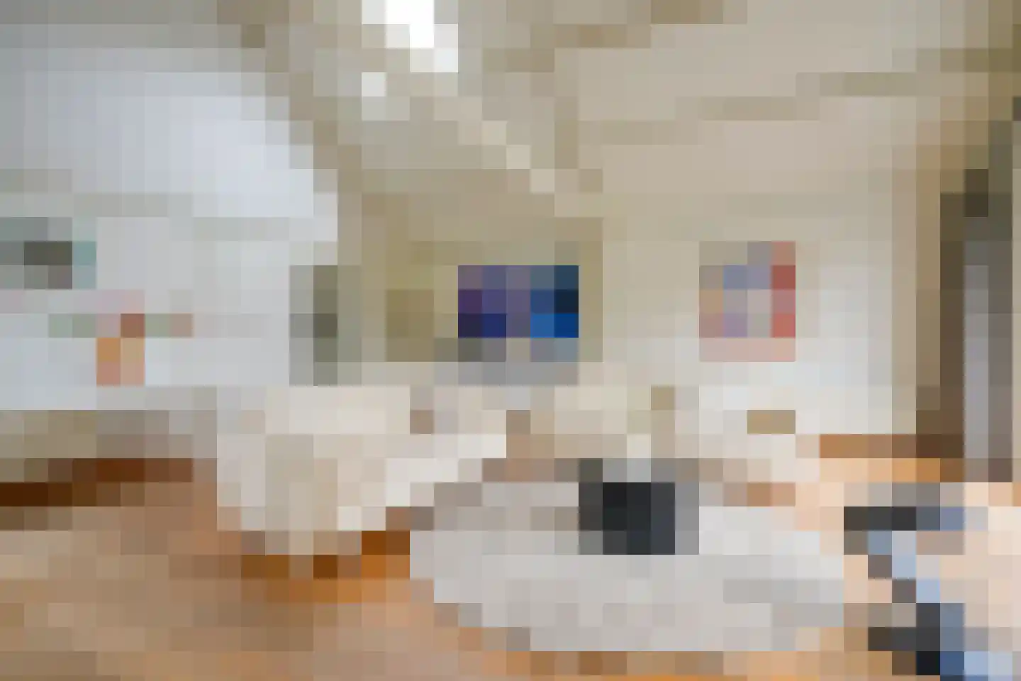 Ganzert 30 Eck en Wiel thumbnail 9