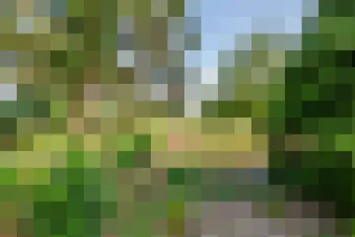 Ganzert 45 Ingen thumbnail 10