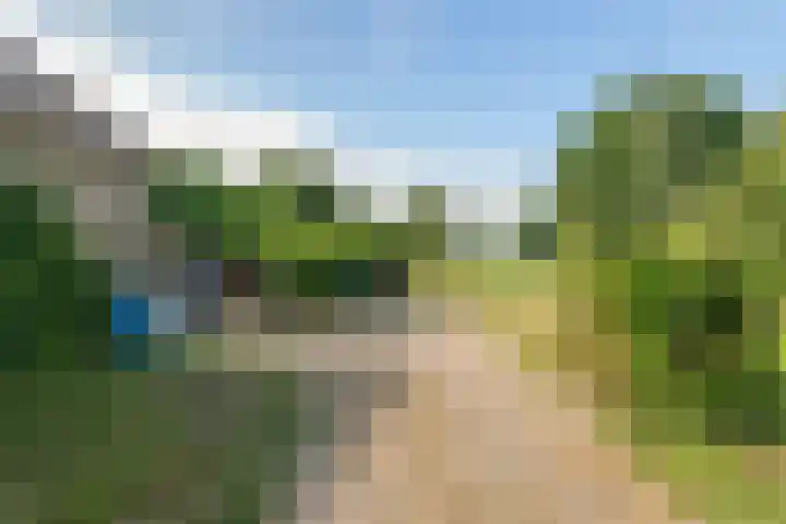 Ganzert 45 Ingen thumbnail 11