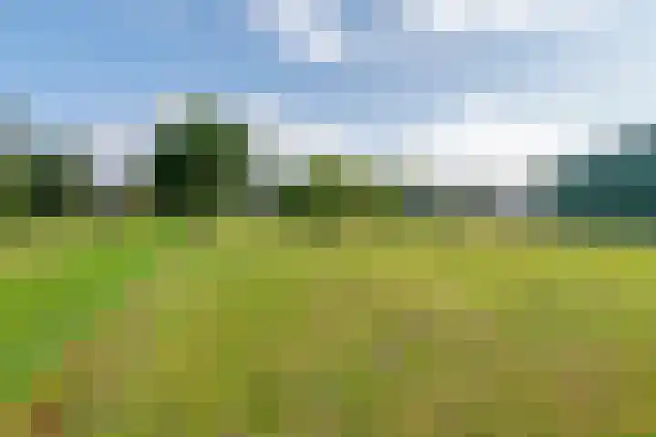 Ganzert 45 Ingen thumbnail 12