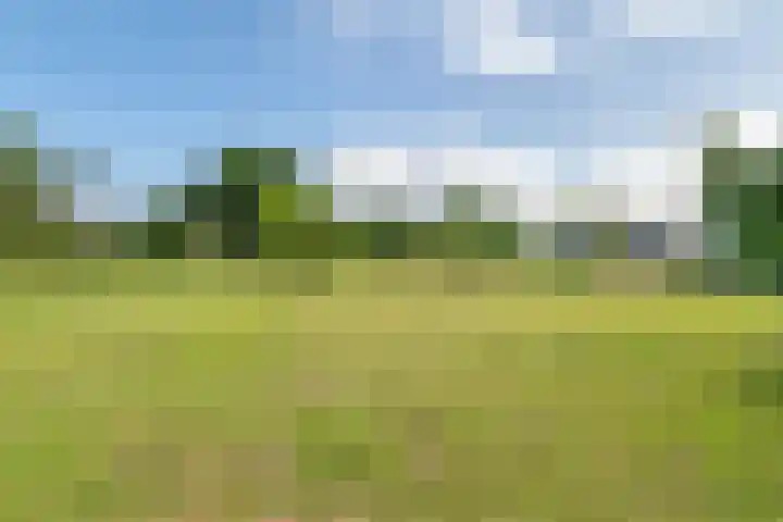 Ganzert 45 Ingen thumbnail 13