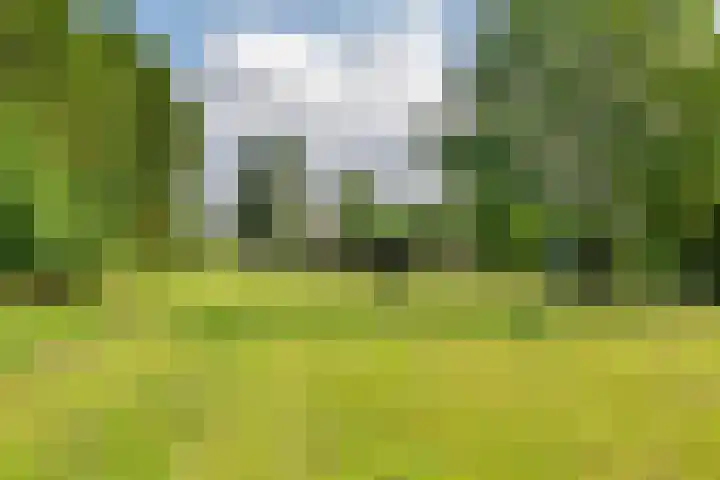 Ganzert 45 Ingen thumbnail 14