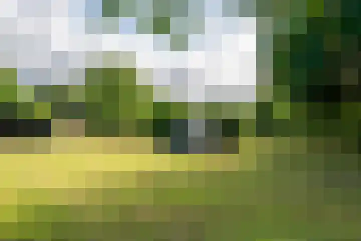Ganzert 45 Ingen thumbnail 15