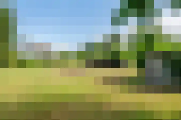 Ganzert 45 Ingen thumbnail 16