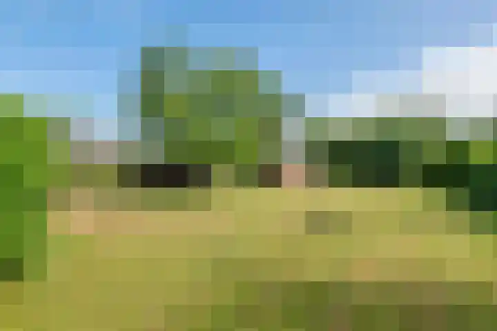 Ganzert 45 Ingen thumbnail 17